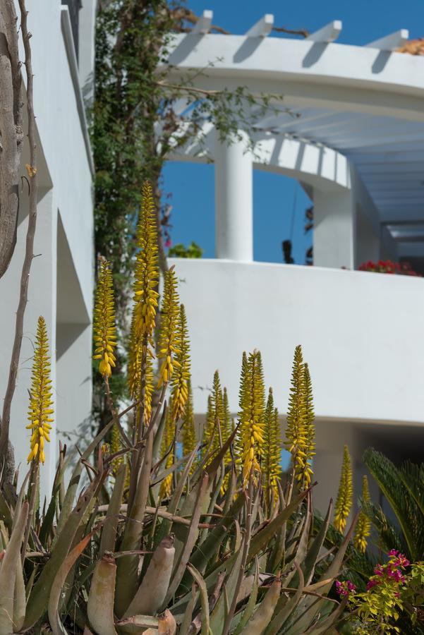 Bitzaro Grande Hotel & Suites Kalamákion 外观 照片